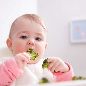 bebe-comiendo-verduras-350x338 bebe-comiendo-verduras-350x338